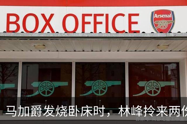马加爵发烧卧床时，林峰拎来两份盒饭陪他一起吃；那个寒假他连杀四人，锤子已握在手中，却对站在门口的林峰没下手，供述里只提到了那顿饭